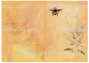 Beekeeper's 6 page Kit Set Two