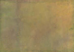 inked woodland paper 4