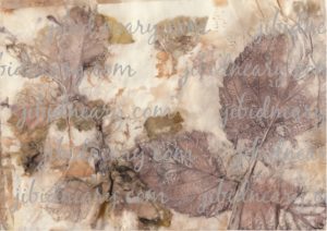 Leaf Litter, An Autumnal Paper Collection