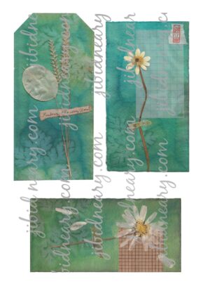 Specimen Card Set of 11, Digital